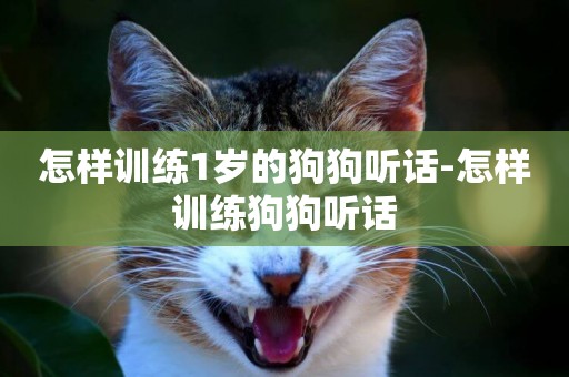 怎樣訓練1歲的狗狗聽話-怎樣訓練狗狗聽話