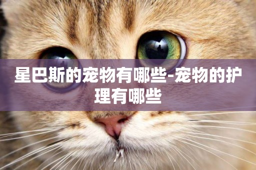 星巴斯的寵物有哪些-寵物的護理有哪些