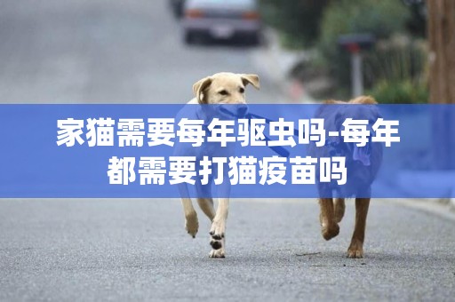 家貓需要每年驅蟲嗎-每年都需要打貓疫苗嗎