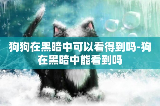 狗狗在黑暗中可以看得到嗎-狗在黑暗中能看到嗎