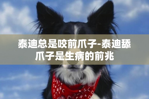 泰迪總是咬前爪子-泰迪舔爪子是生病的前兆
