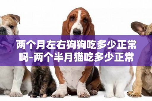 兩個月左右狗狗吃多少正常嗎-兩個半月貓吃多少正常嗎