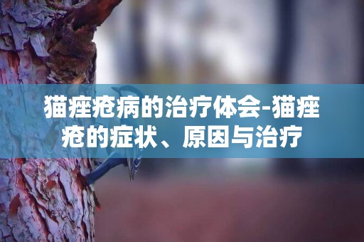 貓痤瘡病的治療體會-貓痤瘡的癥狀、原因與治療