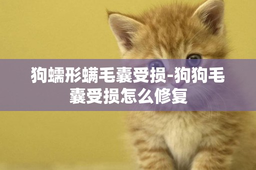 狗蠕形螨毛囊受損-狗狗毛囊受損怎么修復