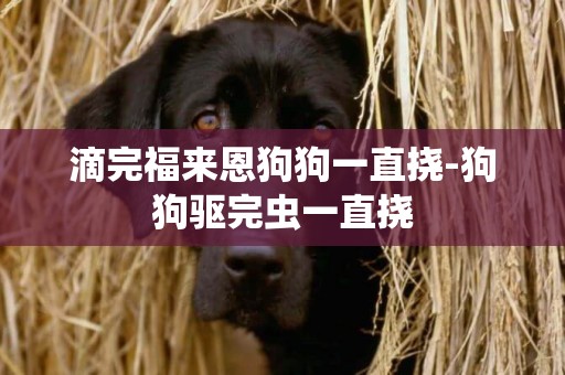 滴完福來恩狗狗一直撓-狗狗驅完蟲一直撓