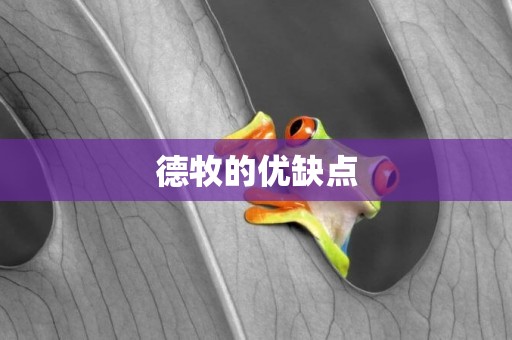 德牧的優缺點