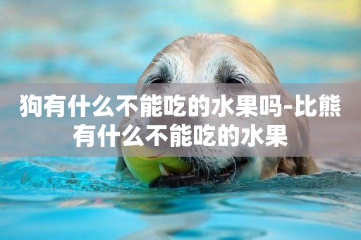 狗有什么不能吃的水果嗎-比熊有什么不能吃的水果