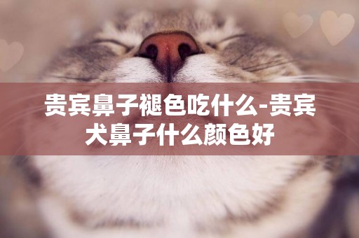 貴賓鼻子褪色吃什么-貴賓犬鼻子什么顏色好