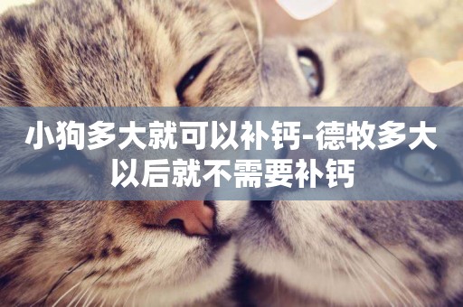 小狗多大就可以補鈣-德牧多大以后就不需要補鈣