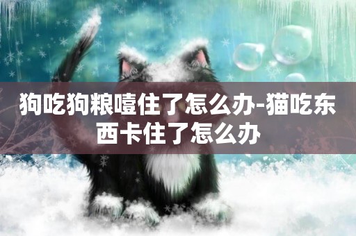 狗吃狗糧噎住了怎么辦-貓吃東西卡住了怎么辦