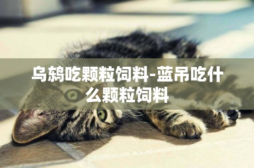 烏鶇吃顆粒飼料-藍吊吃什么顆粒飼料