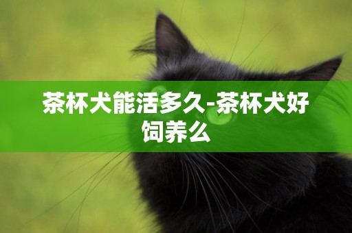 茶杯犬能活多久-茶杯犬好飼養么
