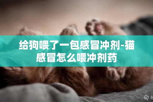 給狗喂了一包感冒沖劑-貓感冒怎么喂沖劑藥