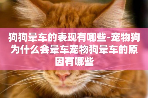 狗狗暈車的表現有哪些-寵物狗為什么會暈車寵物狗暈車的原因有哪些
