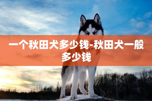 一個秋田犬多少錢-秋田犬一般多少錢