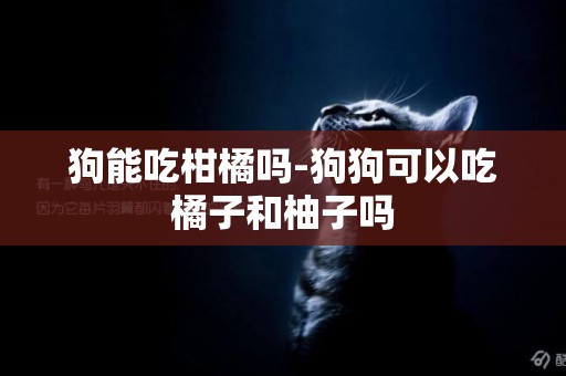 狗能吃柑橘嗎-狗狗可以吃橘子和柚子嗎