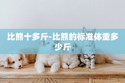 比熊十多斤-比熊的標準體重多少斤