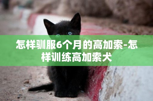 怎樣馴服6個月的高加索-怎樣訓練高加索犬
