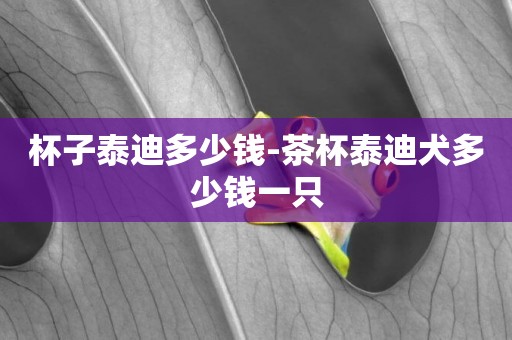 杯子泰迪多少錢-茶杯泰迪犬多少錢一只