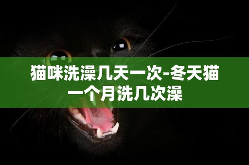 貓咪洗澡幾天一次-冬天貓一個月洗幾次澡