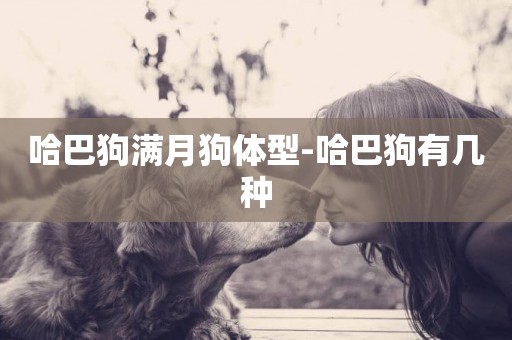 哈巴狗滿月狗體型-哈巴狗有幾種