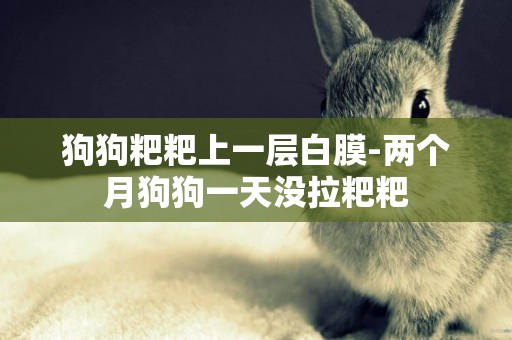 狗狗粑粑上一層白膜-兩個月狗狗一天沒拉粑粑