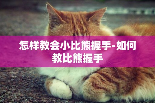 怎樣教會小比熊握手-如何教比熊握手