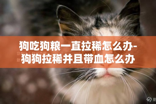 狗吃狗糧一直拉稀怎么辦-狗狗拉稀并且帶血怎么辦