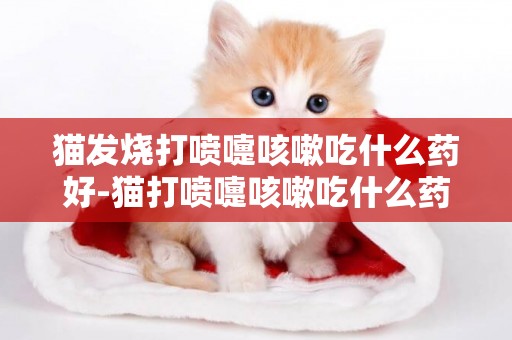 貓發燒打噴嚏咳嗽吃什么藥好-貓打噴嚏咳嗽吃什么藥