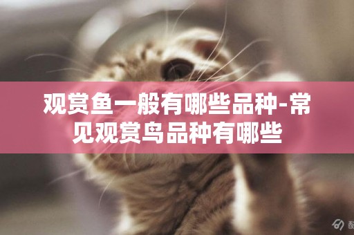 觀賞魚一般有哪些品種-常見觀賞鳥品種有哪些