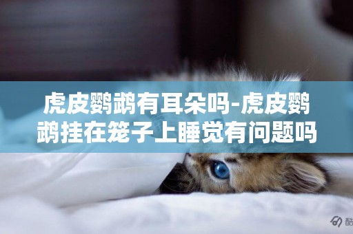 虎皮鸚鵡有耳朵嗎-虎皮鸚鵡掛在籠子上睡覺有問題嗎
