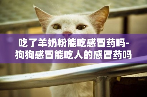 吃了羊奶粉能吃感冒藥嗎-狗狗感冒能吃人的感冒藥嗎