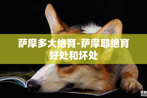 薩摩多大絕育-薩摩耶絕育好處和壞處