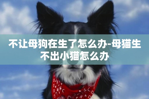 不讓母狗在生了怎么辦-母貓生不出小貓怎么辦