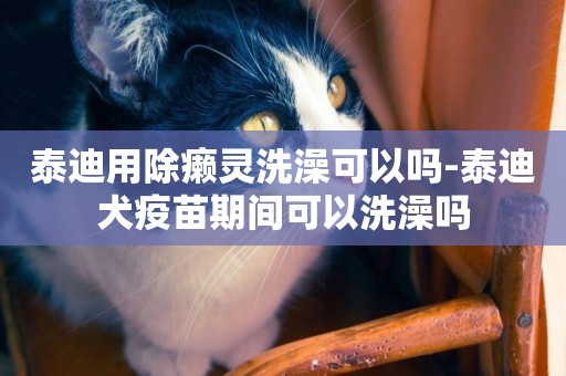 泰迪用除癩靈洗澡可以嗎-泰迪犬疫苗期間可以洗澡嗎