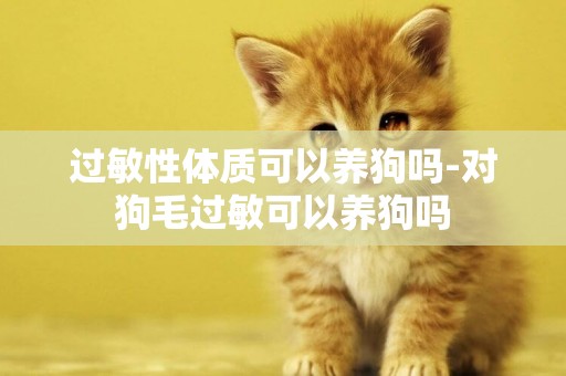 過敏性體質可以養狗嗎-對狗毛過敏可以養狗嗎