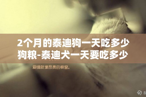 2個月的泰迪狗一天吃多少狗糧-泰迪犬一天要吃多少的狗糧
