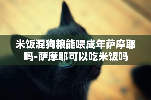 米飯混狗糧能喂成年薩摩耶嗎-薩摩耶可以吃米飯嗎