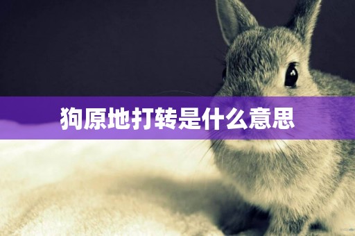 狗原地打轉是什么意思