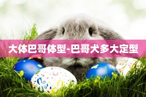 大體巴哥體型-巴哥犬多大定型