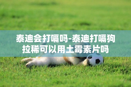 泰迪會打嗝嗎-泰迪打嗝狗拉稀可以用土霉素片嗎