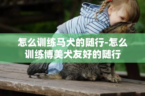 怎么訓練馬犬的隨行-怎么訓練博美犬友好的隨行
