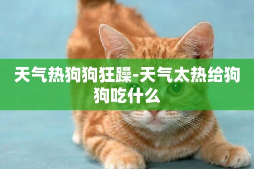 天氣熱狗狗狂躁-天氣太熱給狗狗吃什么