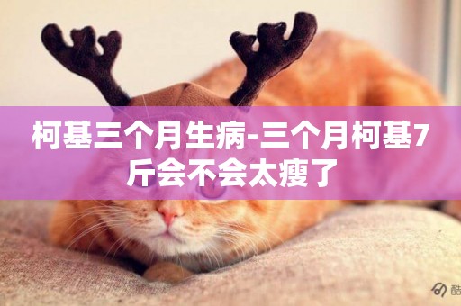 柯基三個月生病-三個月柯基7斤會不會太瘦了
