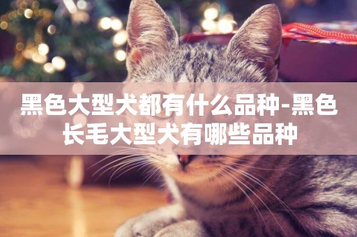 黑色大型犬都有什么品種-黑色長毛大型犬有哪些品種