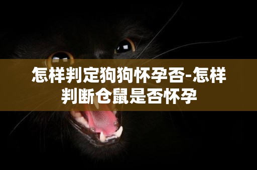 怎樣判定狗狗懷孕否-怎樣判斷倉鼠是否懷孕