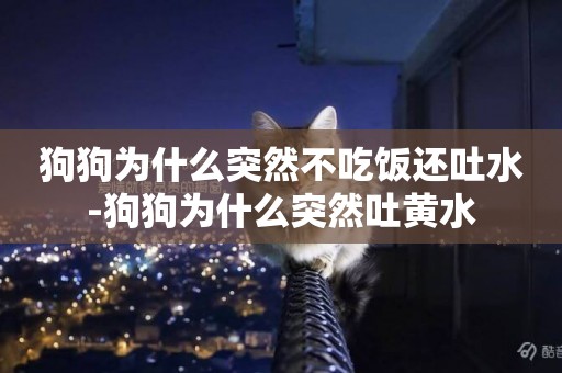 狗狗為什么突然不吃飯還吐水-狗狗為什么突然吐黃水