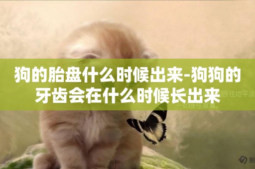 狗的胎盤什么時候出來-狗狗的牙齒會在什么時候長出來