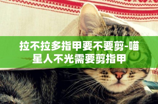 拉不拉多指甲要不要剪-喵星人不光需要剪指甲
