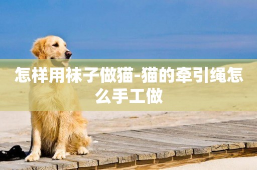怎樣用襪子做貓-貓的牽引繩怎么手工做